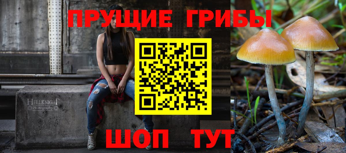 Галлюциногенные грибы Magic Shrooms  Псилоцибиновые грибы Psilocybe  Вход с VPN  Сатка 