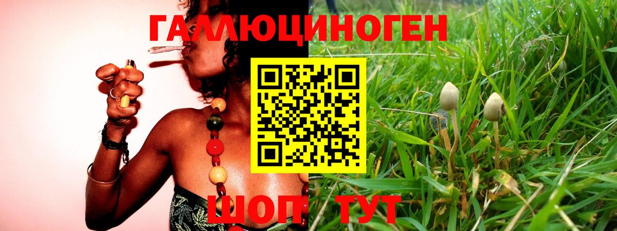 Псилоцибиновые грибы MAGIC MUSHROOMS Сатка